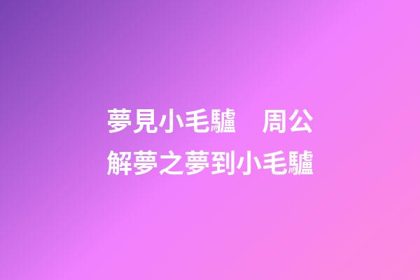 夢見小毛驢　周公解夢之夢到小毛驢
